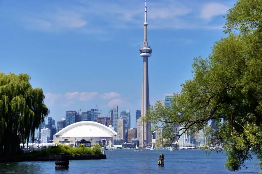App Development Company for Toronto Businesses