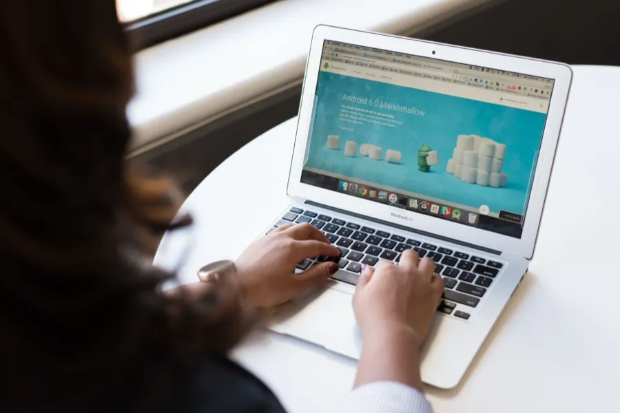 WordPress Development
